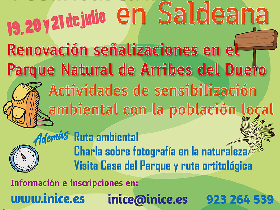 Voluntariado en Saldeana